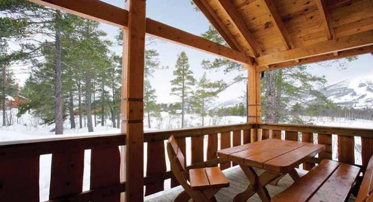 Forest Cabins